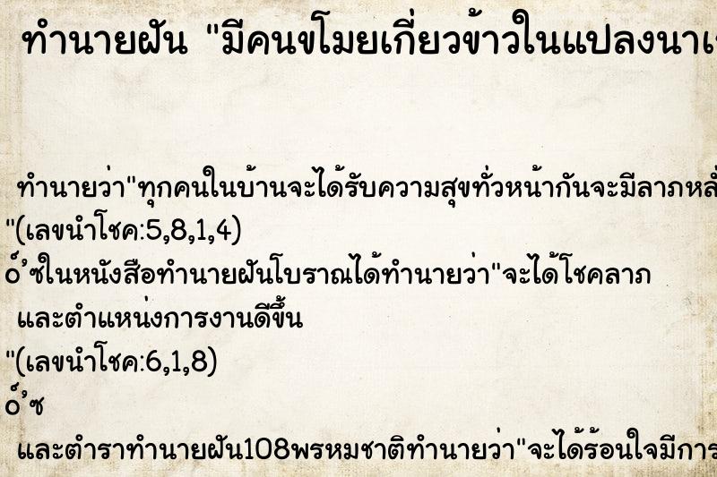 ทำนายฝัน มีคนขโมยเกี่ยวข้าวในแปลงนาเรา 